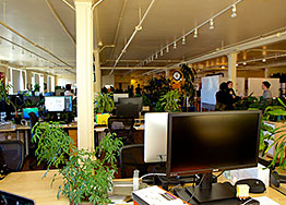 辦公室裝修設(shè)計(jì)墻面脫漆怎么辦？